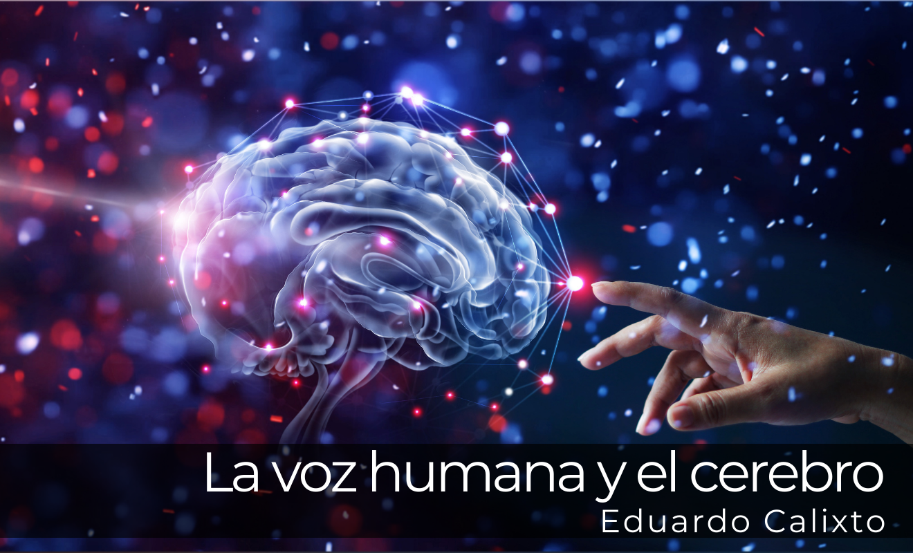 La voz humana y el cerebro